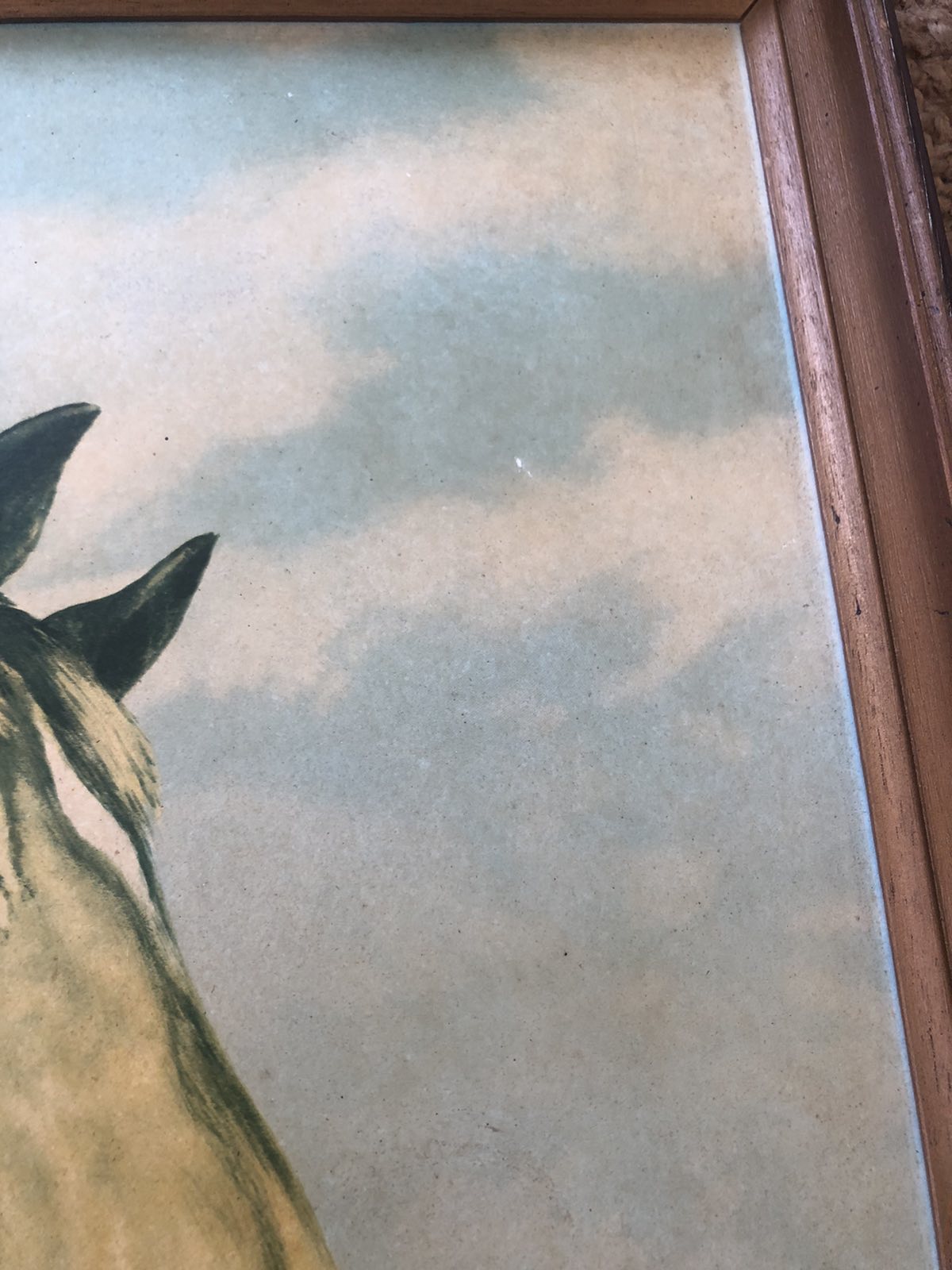 Vintage print of horses at fence. J Davie