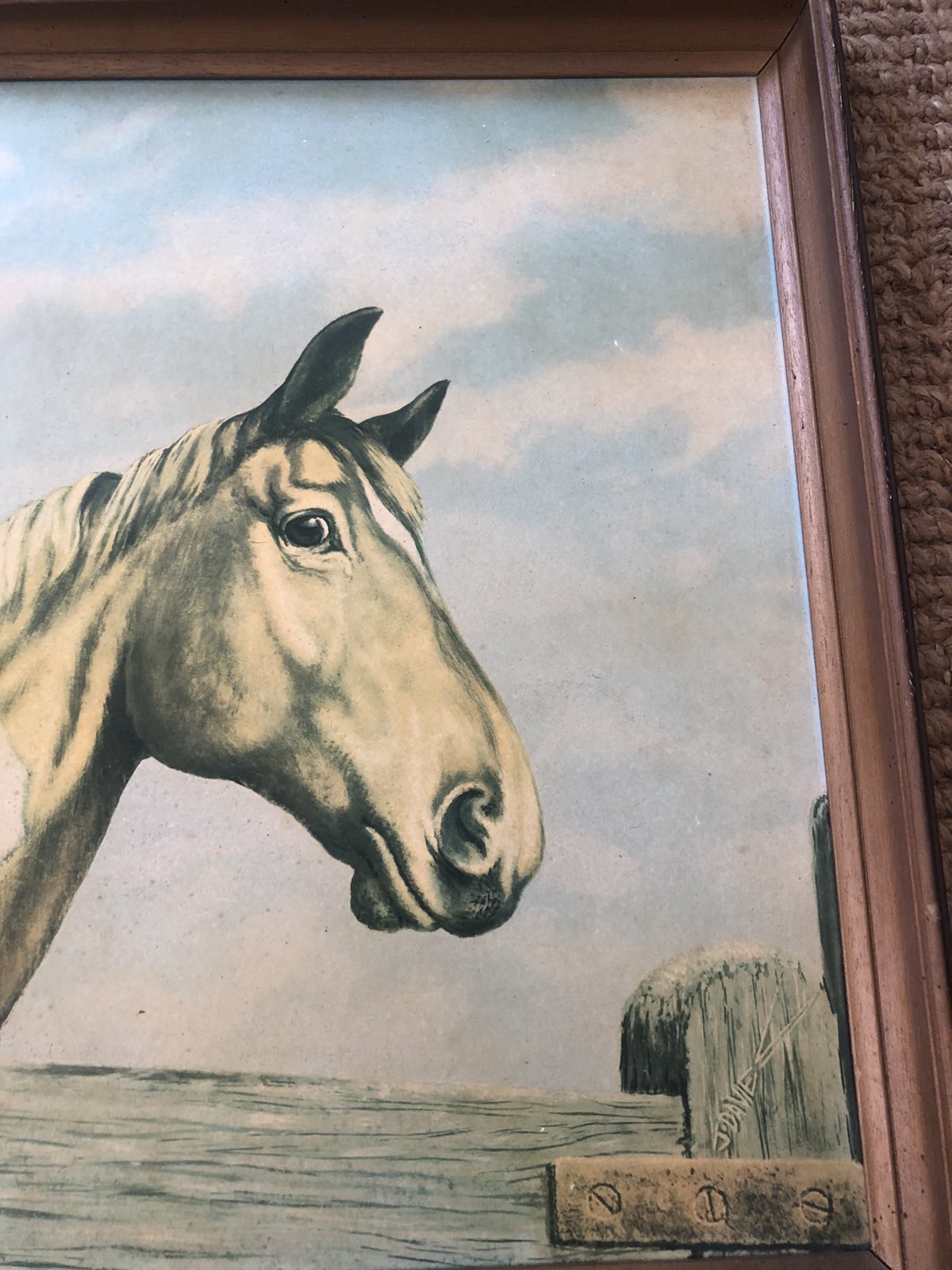 Vintage print of horses at fence. J Davie