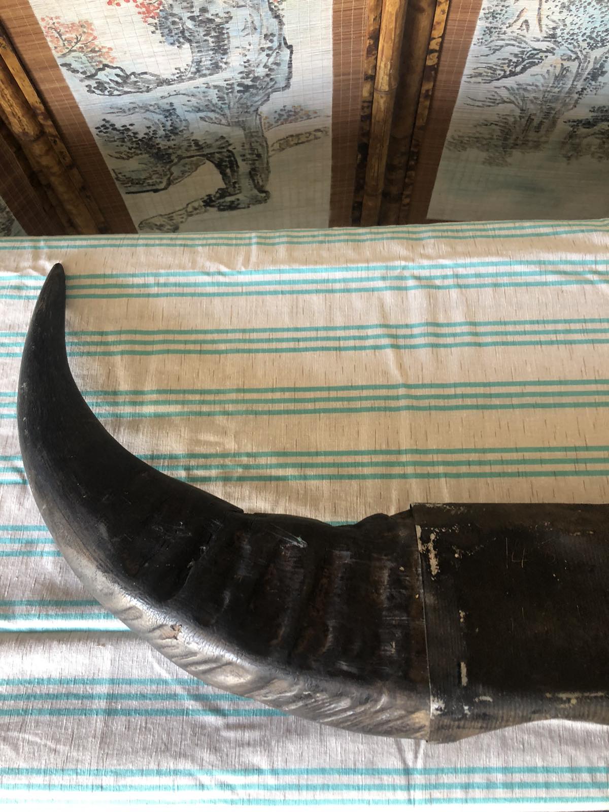 pair of buffalo horns decor