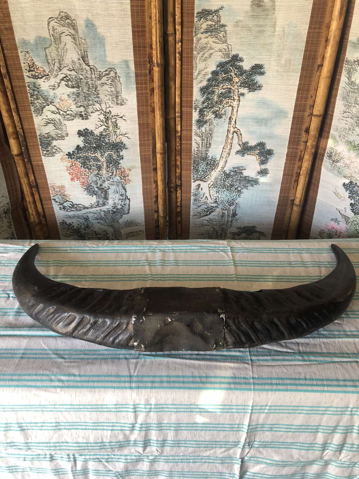 pair of buffalo horns decor
