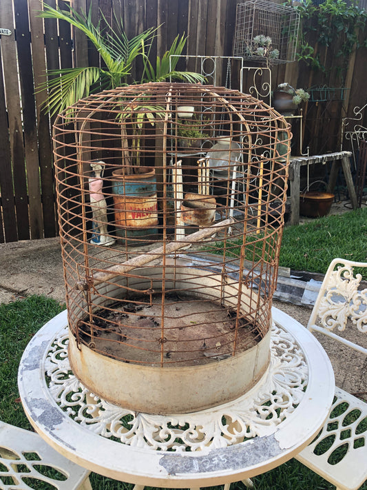 Antique bird cage garden