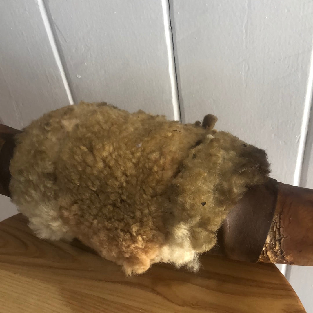 Vintage bull horns